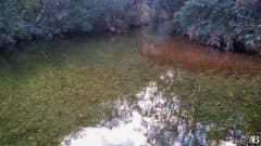 Canyon de Furnas