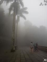 Vista Chinesa