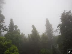 Vista Chinesa