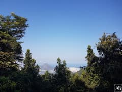 Vista Chinesa