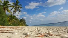 Aroa beach
