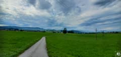 Neumarkt am Wallersee
