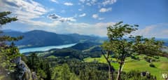 Schober