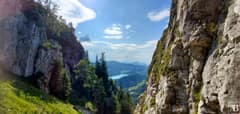 Schober