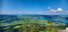 Schober