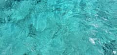Blue Lagoon