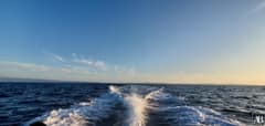 Hvar to Split crossing