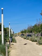Cap Ferret