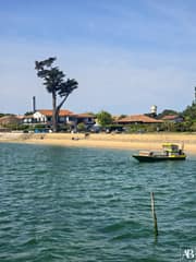 Cap Ferret
