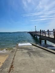 Cap Ferret