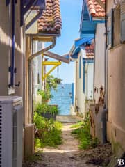 La baraque à huitres