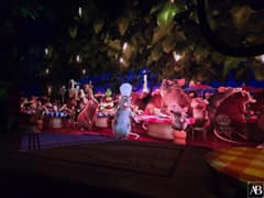 Disneyland Paris