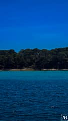 Porquerolles