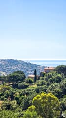Bormes-les-Mimosas