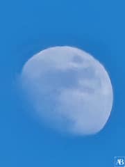 Cité du Vin