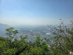 Shri Shankaracharya Temple Srinagar