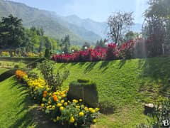 Chashme Shahi Garden