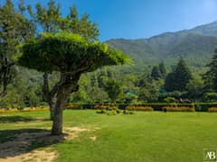 Chashme Shahi Garden