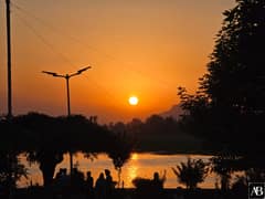 Char Chinar Dal lake