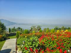 Srinagar