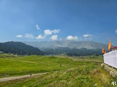 Gulmarg