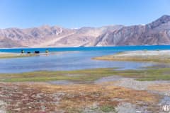Pangong Tso