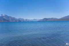 Pangong Tso
