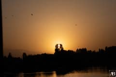 Dal Lake