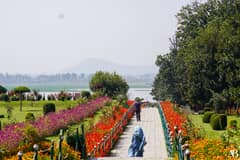 Nishat Garden
