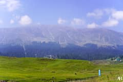 Gulmarg