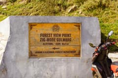 Forest View Point