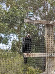 Symbio Wildlife Park