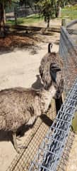 Symbio Wildlife Park