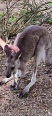 Symbio Wildlife Park