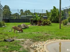 Symbio Wildlife Park