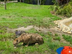 Symbio Wildlife Park