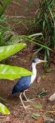 Symbio Wildlife Park