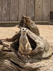 Symbio Wildlife Park