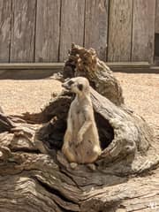 Symbio Wildlife Park