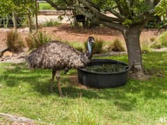 Symbio Wildlife Park
