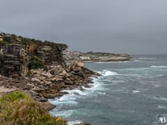 Coogee Beach