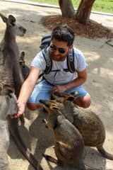 Symbio Wildlife Park